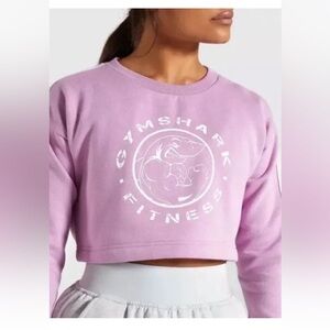 Gymshark Legacy Fitness Cropped Sweater Long Sleeve Stripe Rare Disc XSmall